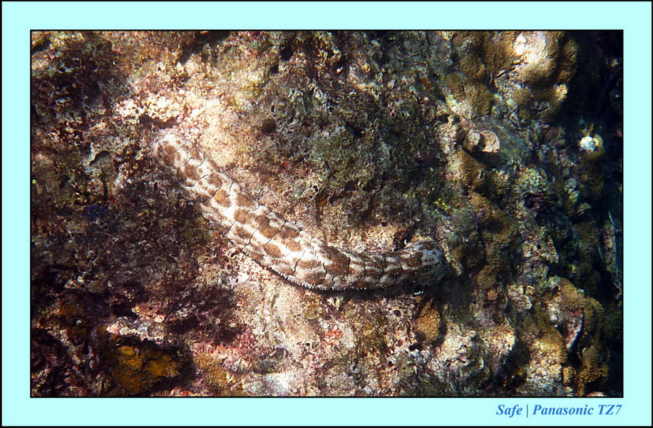 2012 - 03 - Koh Ha 35